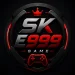 sk-e999 game logo image